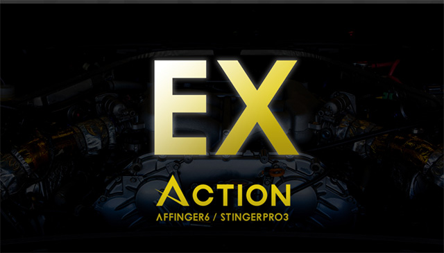 ACTION EX-AFFINGER6