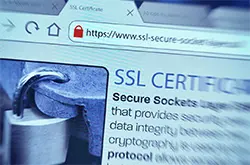 レンタルサーバー　CPI ビジネス スタンダードのSSL