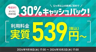 シンレンタルサーバー　30%キャッシュバックキャンペーン