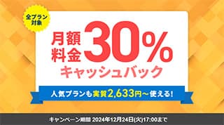 エックスサーバービジネス　月額料金30%キャッシュバックキャンペーン