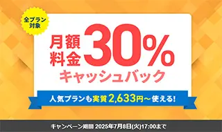 30%キャッシュバックキャンペーン
