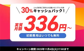 30%キャッシュバックキャンペーン