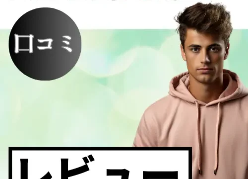AFFINGER6の口コミ・レビューまとめ