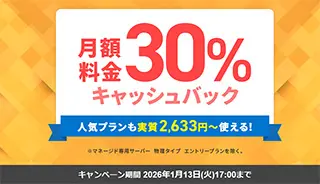 30%キャッシュバックキャンペーン