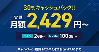 30%キャッシュバックキャンペーン
