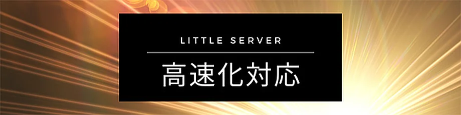 リトルサーバー　高速化対応
