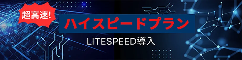 LITESPEED導入のハイスピードプラン